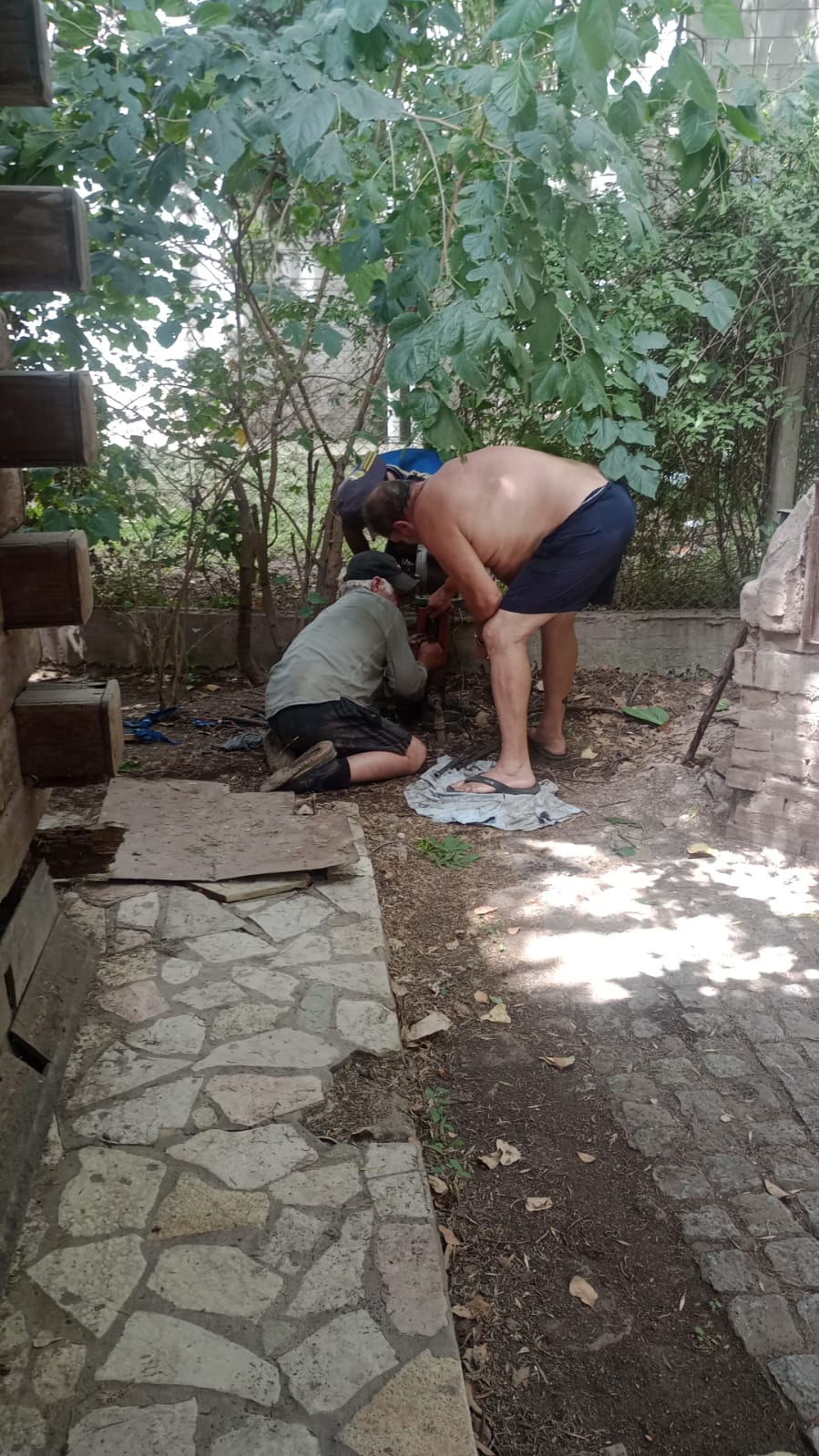 WhatsApp Image 2025-02-03 at 13.17.58.jpeg